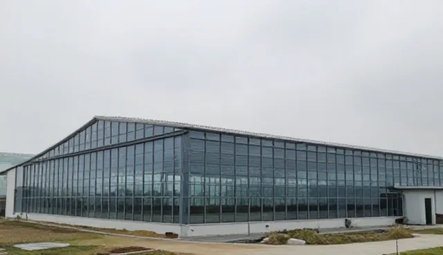 域名负载能力影响因素及优化建议
